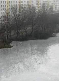 отражение на льду